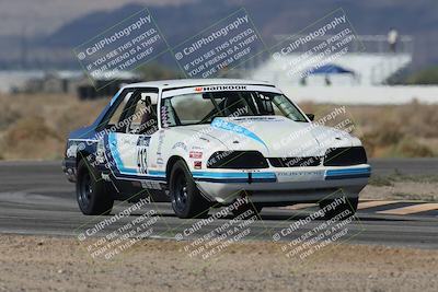 media/Oct-11-2025-Lucky Dog Racing (Sat) [[f5b53147c4]]/2-First Stint/6-Turn 4/